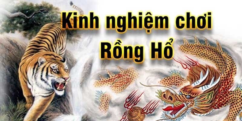 Tổ hợp những phương pháp bắt cầu rồng hổ King88 kinh điển cho người mới